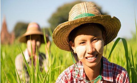 东南亚跨境电商市场