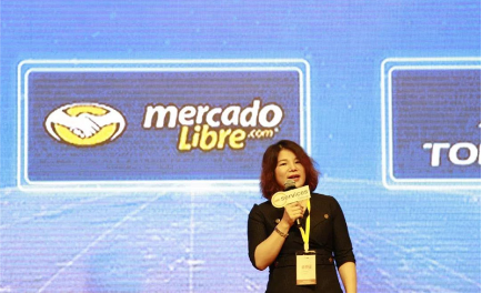 深圳跨境电商协会执行会长 王馨