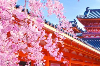 櫻花祭跨境電商運(yùn)營