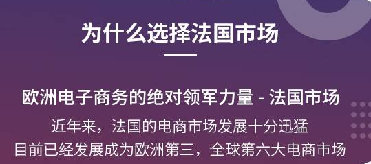为什么选择法国市场？