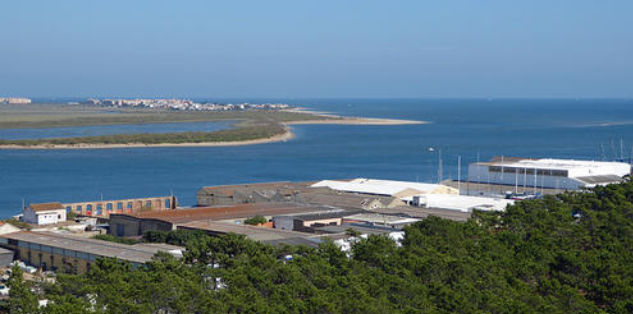 real.de入駐要求、費(fèi)用、開店等問題回答