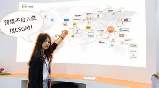 全面解讀歐洲最大的藍海平臺—波蘭Allegro